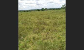 Imagem 4: Fazenda no municipio de Araguacema - TO