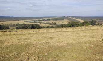 Imagem 2: Sitio 30 Alqueires Em São Carlos SP a Venda