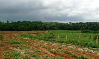 Imagem 2: 93 Alqs Pronta Região Soja Vários Rios Ótima Logística Araguaína TO