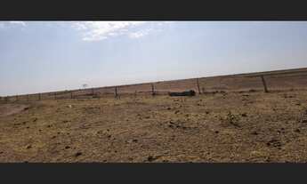 Imagem: 300 Alqs Arrendamento Disponivel Pra Soja