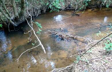 Imagem 4: Terreno de 8 há em Itaguara MG