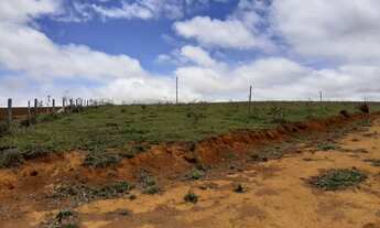 Imagem: Venda de Sitio em Seritinga - Minas Gerais