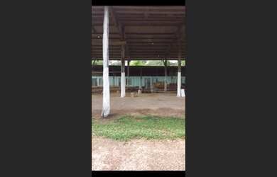 Imagem 7: 6 mil alqueires em Viseu no Pará a 15 mil o alqueire