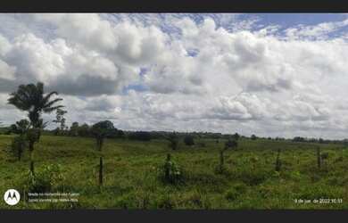 Imagem 7: 150 hectares fazendinha pronta documentada por R$3 milhões