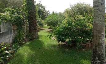 Imagem 7: Chácara Chácara com 3 dormitórios