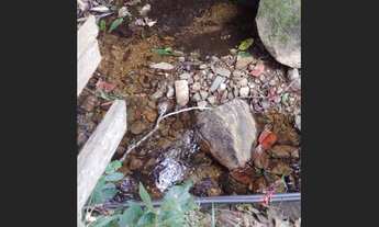 Imagem 6: Propriedade em Alto Caparaó MG