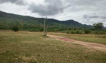 Imagem 5: SITIO 82 HECTARES TERRA BOA COM RIO EM CACERES MT