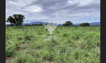 Imagem 5: FAZENDA PARA PECUÁRIA DE 563 ALQUEIRES (4.84) EM MONTE ALEGRE DE GOIÁS – GO