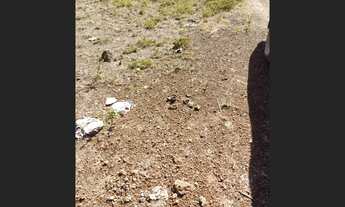 Imagem 6: 580 Alqs Ótima Água Terra e Logística Região Iaciara GO