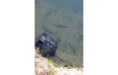 Imagem 3: 500 Alqs Ótima Água Terra e Logística Região Taipas TO