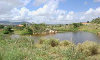 Imagem 6: Mini chácaras a parti 3.600 m2 financiados em 60 meses com piscina aquecida sauna campo