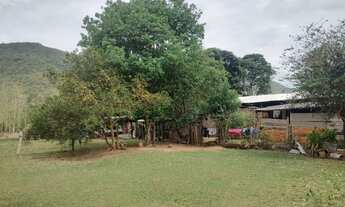 Imagem 4: SITIO 82 HECTARES TERRA BOA COM RIO EM CACERES MT