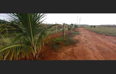 Imagem 7: Chacara 20 mil metros Artur Nogueira- SP