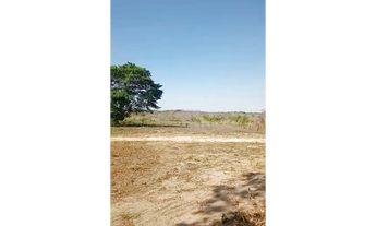 Imagem 2: 370 alqs boa água planta soja região bandeirantes do TO