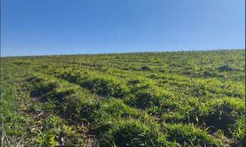 Imagem 2: Terreno de 32 há em Itaguara MG