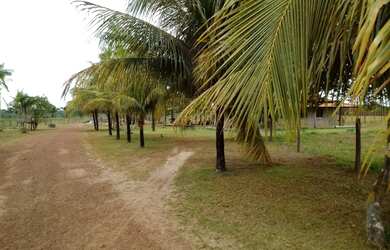 Imagem 3: R$780 MIL fazenda pronta com 175 hectares