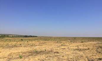 Imagem 3: 247 Alqs Arrendamento Disponivel Pra Soja Santa Maria TO