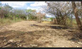 Imagem: TERRENO PALMEIRA DOS ÍNDIOS 7,5X16M