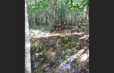 Imagem 3: Sítio com 50 hectares na estrada de igarapé açu por 400 mil reais documentada