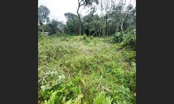Imagem 2: Terreno c/ escritura na praia de Itanhaém