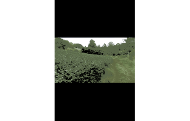 Imagem 7: Chacara a venda em Rio do Santo , Cascavel