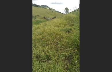 Imagem 5: Chácara bem localizada!!