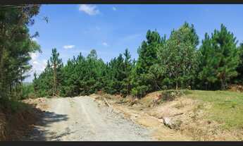 Imagem 2: Fazenda à Venda 488,86 hectares Aptidão para Reflorestamento em Rio do Campo SC