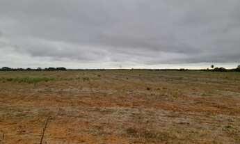 Imagem: 300 Alqs Plantando Ótima Logística Região