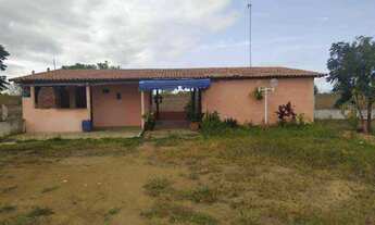 Imagem 2: Sítio no povoado lagoa do rancho