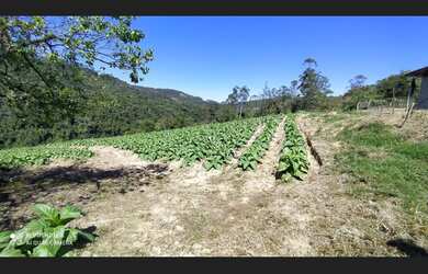 Imagem 4: SÍTIO COMPLETO EM VITOR MEIRELES - SC