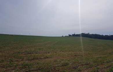 Imagem 2: Vende-se sitio de 21.5 alqueires plantando 17.5 alq para lavoura