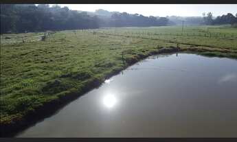 Imagem 2: Sitio proximo cidade com 11,6 has Artur Nogueira SP