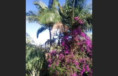 Imagem 7: Sítio Bairro Dos Paulistas, próximo á rodovia Fernão Dias, acesso para Bom Repouso MG