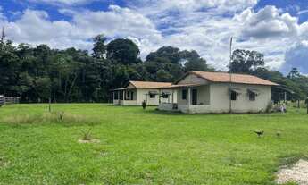 Imagem 6: Fazenda A Venda No Acará, PA 484 Hectares ou 200 Alqueires
