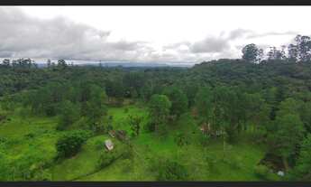 Imagem 7: Sítio à Venda em Juquitiba SP com 10,11 alqueires, 5 casas, lagos e córrego