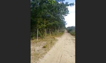 Imagem 5: TERRENO MUITO BOM