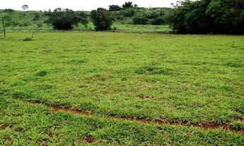 Imagem 6: Sítio no Município de Apucarana/PR