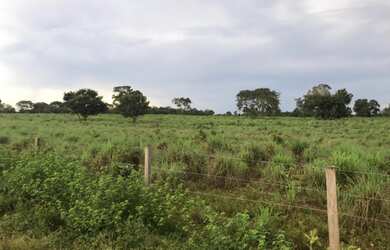 Imagem 4: 180 Alqs Dupla Aptidão Melhor Região Barrolândia TO