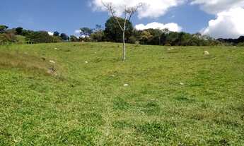 Imagem 6: Terreno de 10 há em Itaguara MG