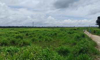 Imagem 6: R$8.000.000 fazenda de 230 Alqueires com 160 abertos
