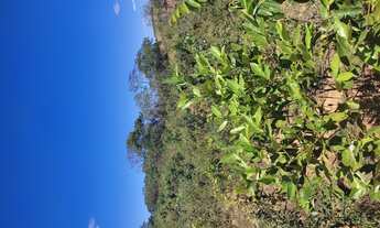 Imagem 4: Terreno de 20 mil mt em Pitangui MG