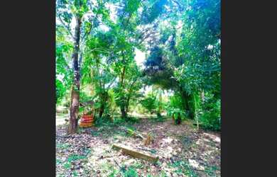 Imagem 7: Sitio em fundao Fazenda / sítio com 2 dormitórios