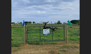 Imagem 5: Fazendinha de 20 mil mt em Paraopeba