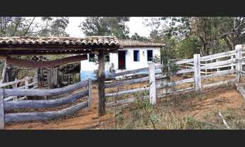 Imagem 5: Fazenda de 100 ha em Itaguara MG
