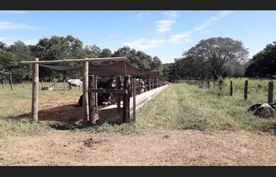 Imagem 4: Fazenda Produtora de Leite