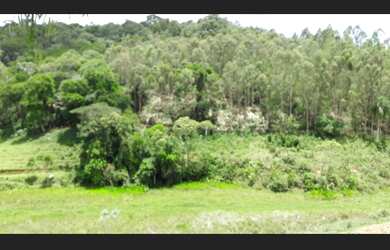 Imagem 5: Propriedade rural com 110 hectares