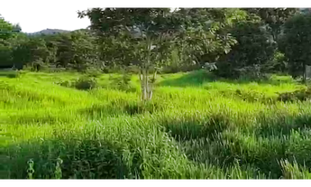 Imagem: 290 Alqs Boa Água Terra e Logística Região