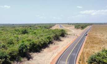 Imagem: Terreno 20 ha em Altos