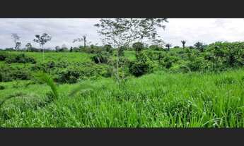 Imagem 6: Fazenda - à venda - 5.000ha- Sena Madureira-AC