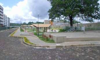 Imagem 7: Reserva Helicônia